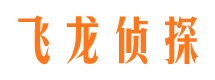 赣县市婚姻调查